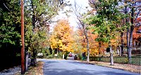 Jefferson Avenue, approaching Forest Hill Cemetery