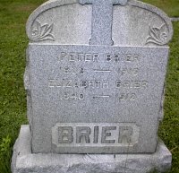 Brier